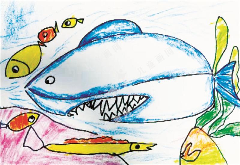 大鲨鱼和它的向导